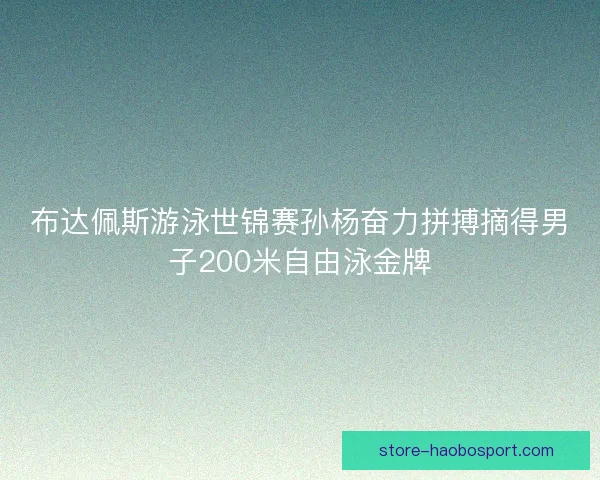 布达佩斯游泳世锦赛孙杨奋力拼搏摘得男子200米自由泳金牌 布达佩斯游泳世锦赛孙杨奋力拼搏摘得男子200米自由泳金牌